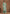 Vegaa Fashion Sky Blue Dola Silk Jacquard Designer Salwar Suit