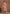 Vegaa Fashion Light Peach Dola Silk Jacquard Designer Salwar Suit