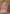 Vegaa Fashion Pink Dola Silk Embroidered Anarkali Suit