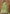 Vegaa Fashion Light Green Dola Silk Embroidered Anarkali Suit