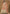 Vegaa Fashion Light Orange Dola Silk Embroidered Anarkali Suit