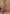 Vegaa Fashion Designer Brown Faux Georgette Embroidery Sharara Suit