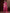 NOZ2TOZ Women's Georgette Pink Woven Design Designer Saree With Blouse Piece - Distacart