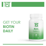 Thumbnail for download - 2024-12-09T164026.513