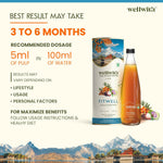 Thumbnail for Wellwith Fitwell Juice – Himalayan Sea Buckthorn + Garcinia, Kokum & Punarnava - Distacart