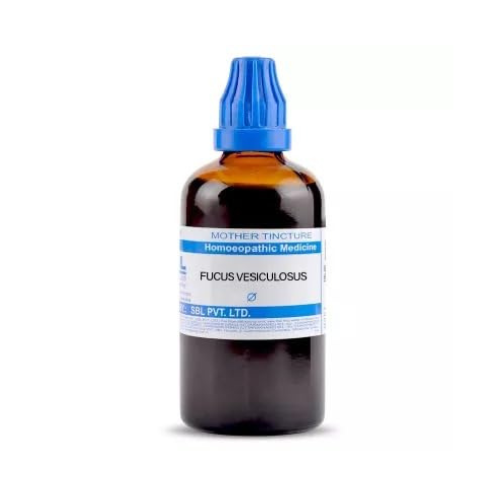SBL Homeopathy Fucus Vesiculosus Mother Tincture Q - Distacart