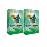 Thumbnail for Everest Ayurveda Triphala Choornam - Distacart