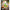 Pulla Reddy Amla Pickle - Distacart
