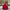 Preksha Creation Fancy Party Wear Fiyona Silk Lehenga Saree - Red - Distacart