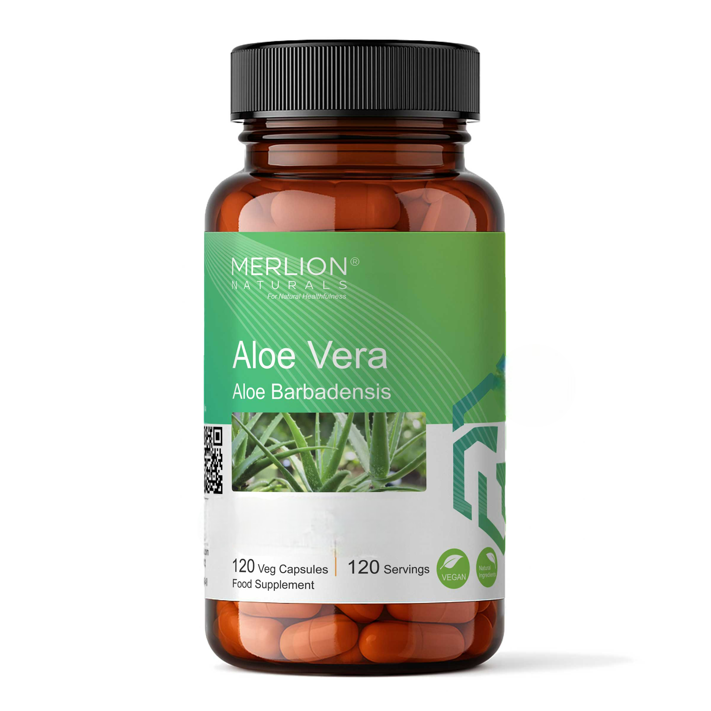 Merlion Naturals Aloe Vera 500mg Capsules - Dista