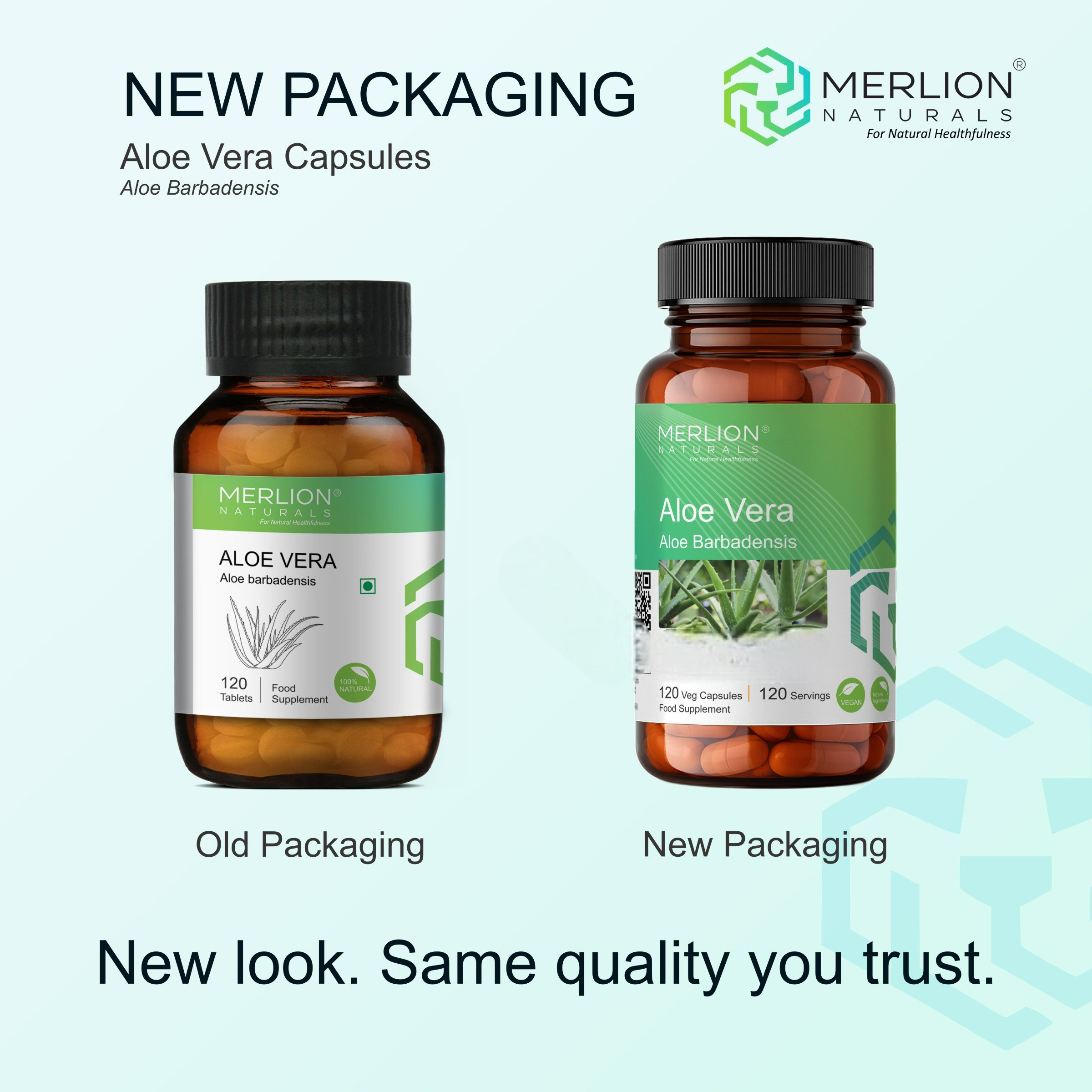 Merlion Naturals Aloe Vera 500mg Capsules - Dista