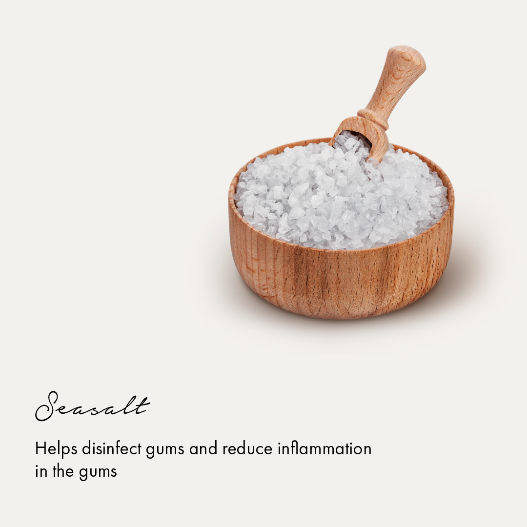 botanical sea salt and spearmint toothpaste 100 gm