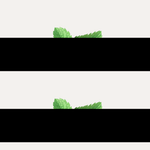 Thumbnail for oil pulling mint