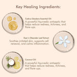 Thumbnail for VedicDerm Oleander's Oil for Psoriasis, Eczema, and Atopic Dermatitis - Distacart