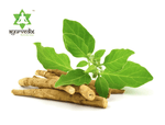 Thumbnail for Ayurvedix Organic Ashwagandha Powder - Distacart