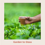 Thumbnail for Chai Point Signature Assam Masala Tea