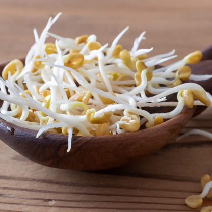 Village-Organica Methi Dana-Whole Fenugreek Seeds - Dista