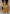 Prazu Fashion Yellow Georgette Embroidered Sharara Suit