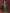 Ai Fashion Green Georgette Digital Print Party Wear Saree
