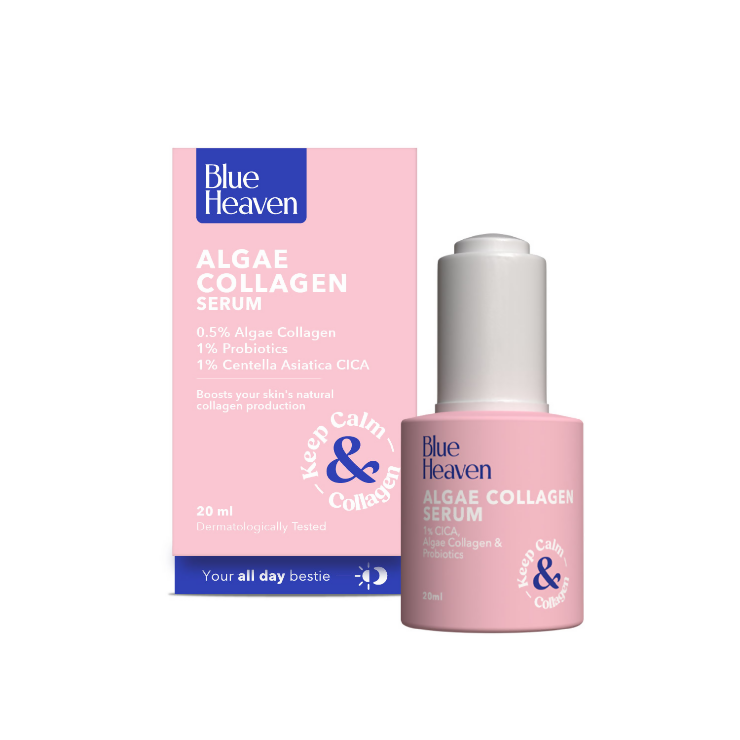 download - 2025-02-21T121842.582