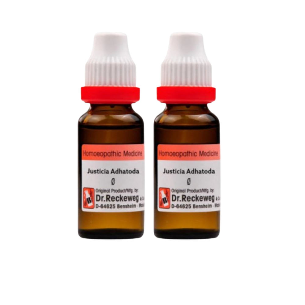 Bakson's Spondy Aid Drops - Distacart