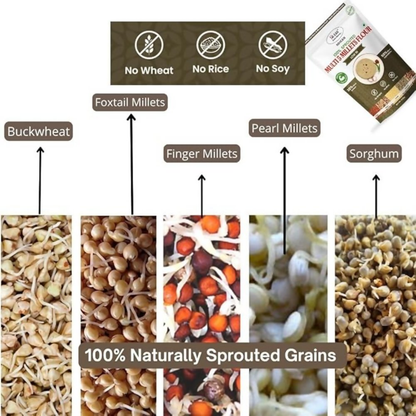 NIHKAN Multigrain Sprouted Millets Flour - Dista