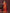 Ai Fashion Maroon Georgette Digital Print Party Wear Saree