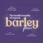 Thumbnail for Bharat Vedica Organic Barley Flour | Stone-Ground & Fresh - Distacart