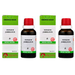 Thumbnail for Bjain Homeopathy Syzygium Jambolanum Mother Tincture Q