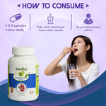 Thumbnail for Rajasthan Herbals K+ Compound Capsules