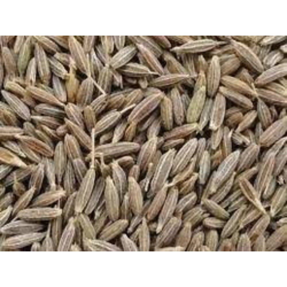 Nxtgen Ayurveda Cumin Seeds - Distacart
