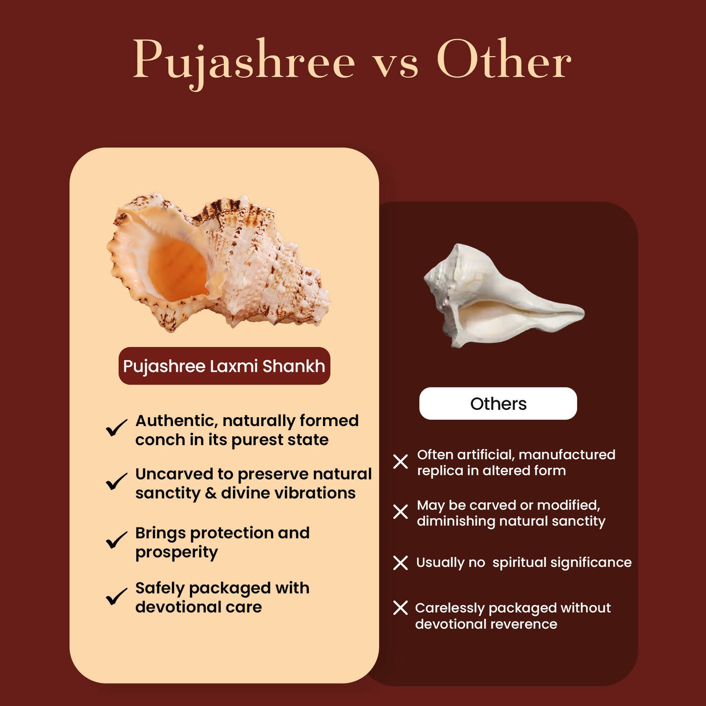 Pujashree Laxmi Shankh – Divine Conch - Dista