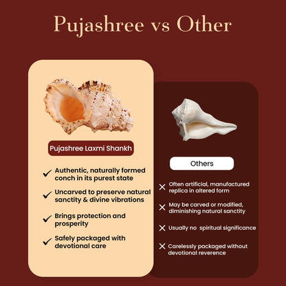 Pujashree Laxmi Shankh – Divine Conch - Dista