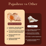 Thumbnail for Pujashree Laxmi Shankh – Divine Conch - Dista