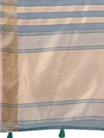 Thumbnail for Astita Organza Sky Blue Saree