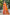 Sangam Prints Saffron Orange Soft Silk Woven Work Traditional Saree - Dista