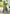 Sangam Prints Dark Green Assam Silk Woven Work Traditional Saree