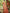Sangam Prints Mustard Silk Woven Work Traditional Saree