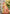 Sangam Prints Multi Color Kanjivaram Silk Woven Work Traditional Saree
