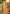Prazu Fashion Orange Assam Silk Weaving Wedding Wear Saree