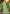 Prazu Fashion Sea Green Assam Silk Weaving Wedding Wear Saree