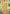 Prazu Fashion Chiku Assam Silk Weaving Wedding Wear Saree