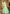 Prazu Fashion Mint Green Linen Cotton Weaving Wedding Wear Saree