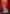 Prazu Fashion Red Silk Weaving Wedding Wear Saree