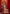 Prazu Fashion Brown And Red Silk Weaving Wedding Wear Saree