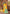 Prazu Fashion Yellow Silk Weaving Wedding Wear Saree