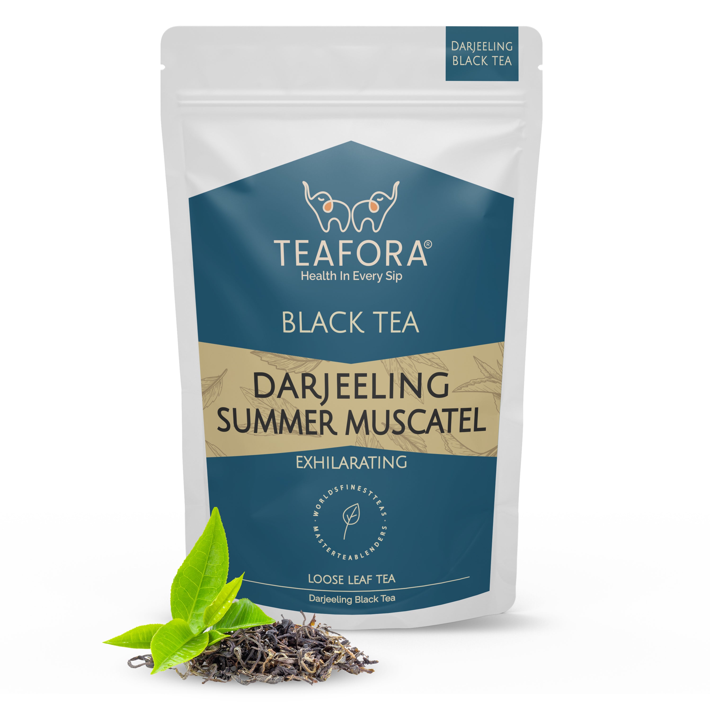 TEAFORA Darjeeling Summer Muscatel Black Tea | Second Flush Loose Leaves | Full Bodied, Musky Fragrance with Floral Notes | Freshly Sourced Direct From Origin - Dista
