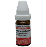 Thumbnail for Dr. Willmar Schwabe Germany Berberis Aquifolium Dilution - Distacart