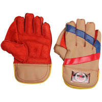 Thumbnail for Virlok Foam Wicket keeping Gloves (Multi-Colour) - Distacart