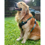 Thumbnail for Waggety Adjustable Full Body Dog Harness - Comfortable Fit, Lightweight Polyester, Black